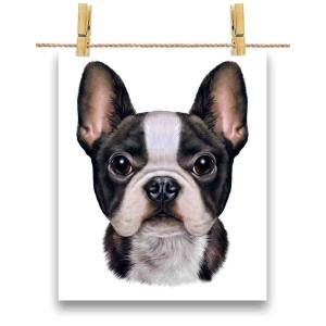 フレンチブルドッグポスターの商品一覧 通販 Yahoo ショッピング