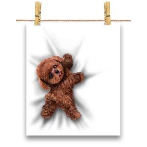 犬ポスターの商品一覧 通販 Yahoo ショッピング