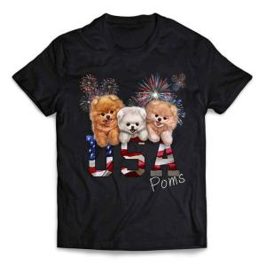 アンソニーエドワーズ　USA パリ五輪　Tシャツ NIKE アンソニー・エドワーズ アメリカ代表 Tシャツ USA