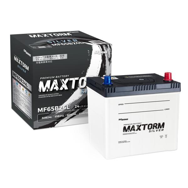 MAXTORM ホンダ エリシオン H16年5月-H17年9月 DBA-RR2 2400cc 標準地...