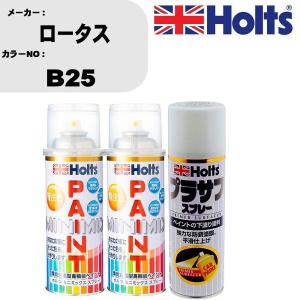 ペイントスプレー ロータス カラー番号 B25 上塗り1本/下塗り1本 & プラサフスプレー ホワイト 品番 MH11501 1本｜fpj-navi