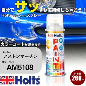 ペイントスプレー アストンマーチン AM5108 ホルツ カースプレー カー塗料 車塗装 傷消しスプレー 送料無料 【TU&SP】｜fpj-navi