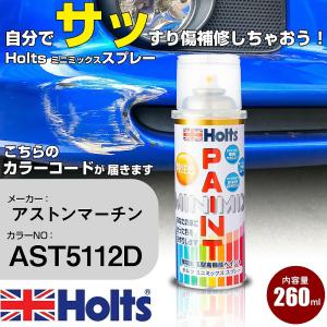 ペイントスプレー アストンマーチン AST5112D ホルツ カースプレー カー塗料 車塗装 傷消しスプレー 送料無料 【TU&SP】｜fpj-navi