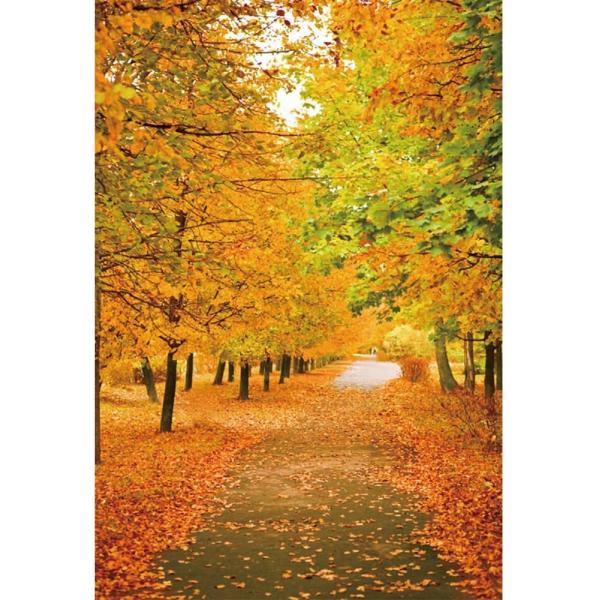 Qinunipoto 撮影用 背景布 秋 落ち葉の紅葉撮影 背景 背景幕 秋シーン 黄色いカエデの葉...