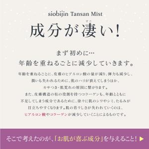 化粧水 スプレー式 2本 炭酸化粧水 乳酸菌入...の詳細画像3