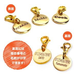 名入れ迷子札 ペットタグ ネームタグ 犬用名札...の詳細画像2