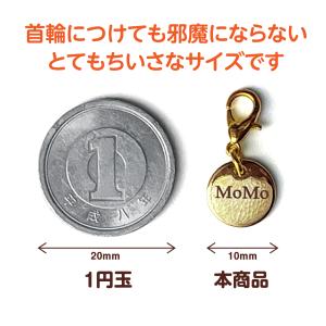 名入れ迷子札 ペットタグ ネームタグ 犬用名札...の詳細画像3