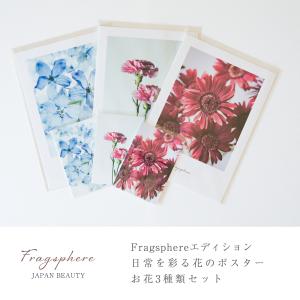 レントゲンアート 絵画　アートパネル　花　花びら　パネル レントゲンアート 絵画 オーキッド 洋ラン 壁掛け 壁飾り