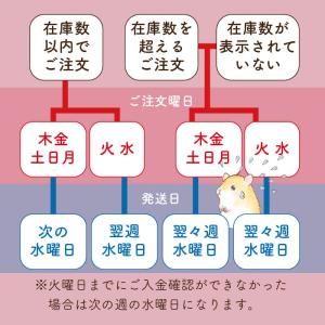 [17449]バスケットボール【ミニミニセレク...の詳細画像5
