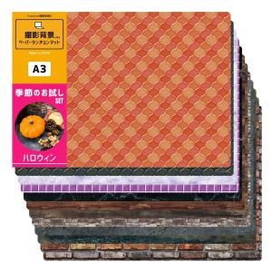 FrameCue 季節のお試しセット ハロウィーンおすすめ12柄（12柄×各1枚）撮影背景になるペーパーランチョンマット