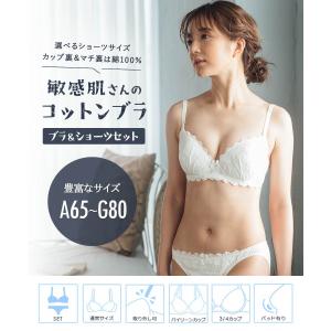 ブラジャー ショーツ セット コットン 小胸 ...の詳細画像1