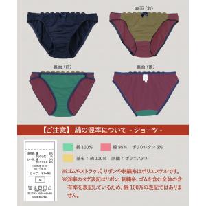 ブラジャー ショーツ セット コットン 小胸 ...の詳細画像5