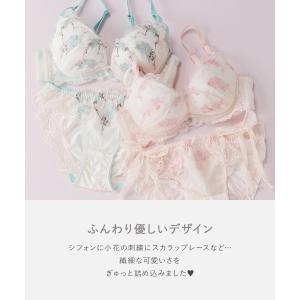 ブラジャー ショーツ セット 下着 レディース...の詳細画像2