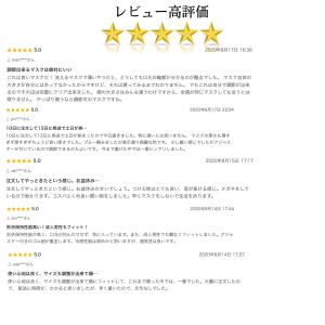 マスク 冷感 マスク 夏用 日本の検査機関で検...の詳細画像1