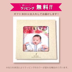 写真入り プレゼント メガネ拭き メガネクロス...の詳細画像1