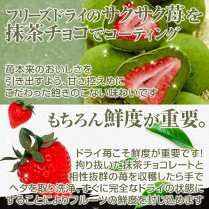 ハロウィン スイーツ ギフト プレゼント お菓...の詳細画像1