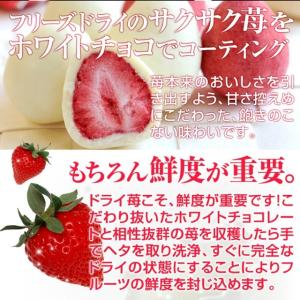 お中元 2026 スイーツ ギフト お菓子 イ...の詳細画像1
