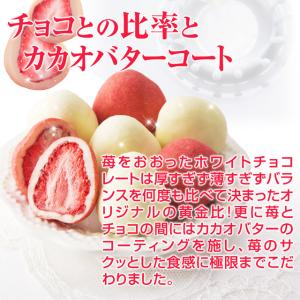 お中元 2026 スイーツ ギフト お菓子 イ...の詳細画像4