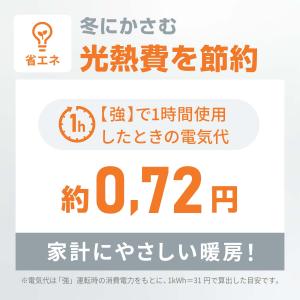 電気毛布 電気敷き毛布 敷 送料無料 洗える ...の詳細画像4
