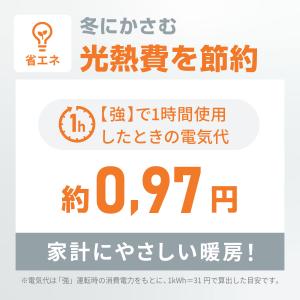 電気毛布 掛け 敷き 兼用 188×130cm...の詳細画像4