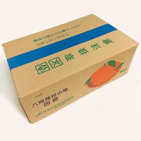 因島 はっさくシャーベット 60個 因島産 八朔シャーベット はっさく フルーツゼリー 広島 ギフト...