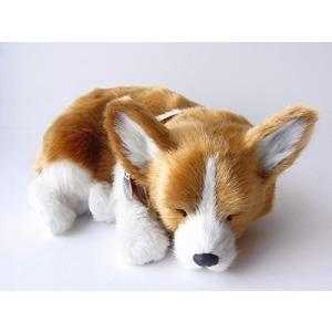 動くぬいぐるみ コーギー 約15cm Amazon.co.jp: マザーガーデン 一緒に体操！ 元気なコーギーちゃん