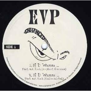 【レコード】EVP feat B.C. Rich - IF U WANNA... 12&quot; US 20...