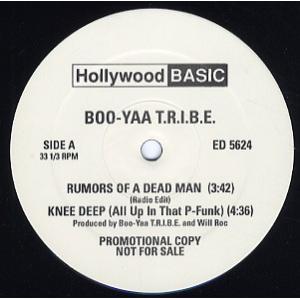 【レコード】BOO-YAA TRIBE feat Rick James - Knee Deep (A...