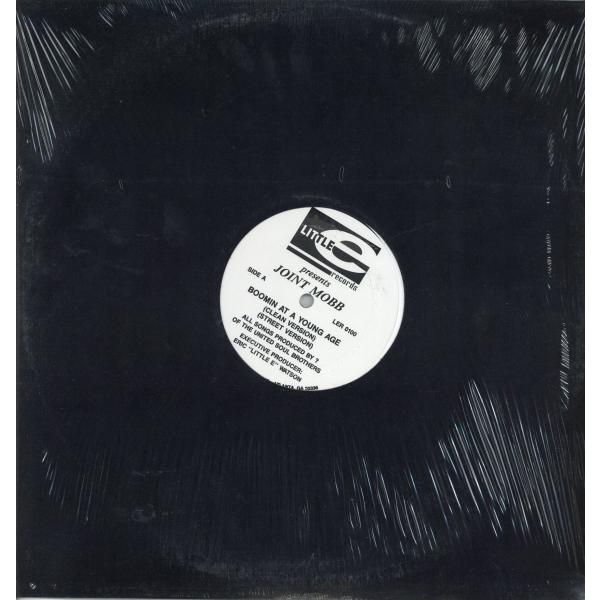 【レコード】JOINT MOBB - BOOMIN AT  A YOUNG AGE / ON THE...