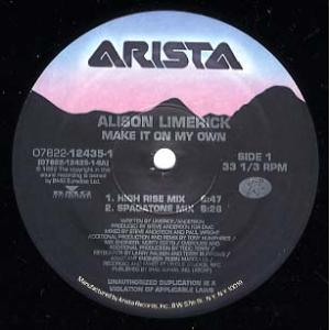 【レコード】ALISON LIMERICK - MAKE IT ON MY OWN 12" US 1...