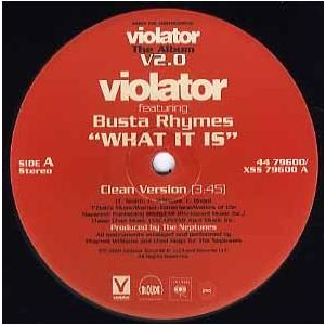 k*a様 Busta Rhymes MASTER PIECE violator レコード】VIOLATOR feat BUSTA RHYMES - WHAT IT IS 12
