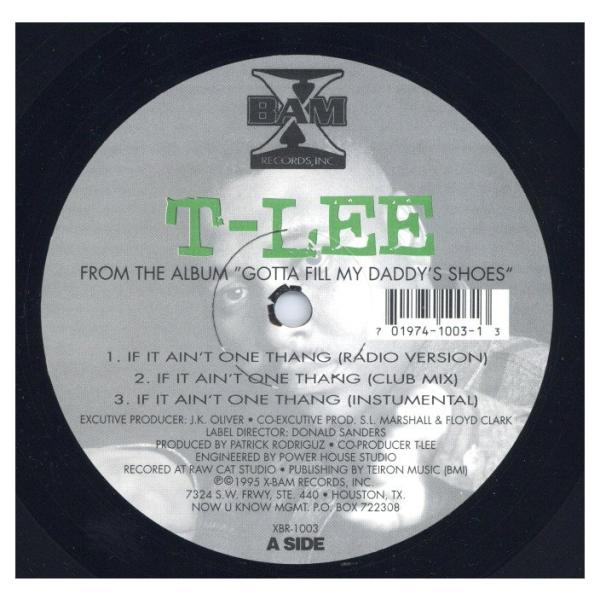 【レコード】T-LEE - IF IT AIN'T ON THANG / TAKE THAT S__...