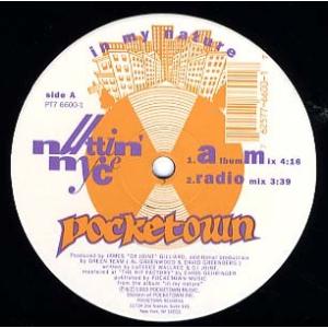 【レコード】NUTTIN' NYCE - IN MY NATURE (POCKETOWN盤) 12"...