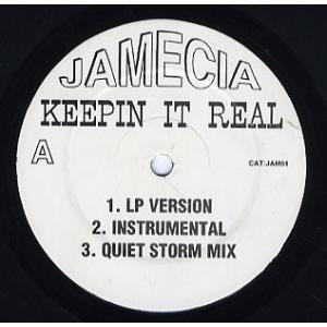 【レコード】JAMECIA feat Dres, Busta Rhymes - KEEPIN IT ...