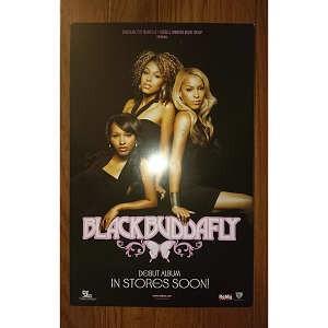 BLACK BUDDAFLY - PROMO (ポスター) POS US 2005年リリース