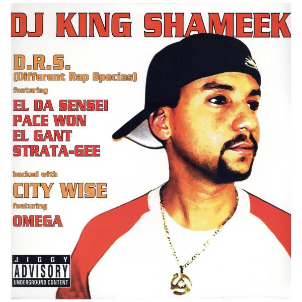【レコード】DJ KING SHAMEEK ft El Da Sensei, Pace Won, E...