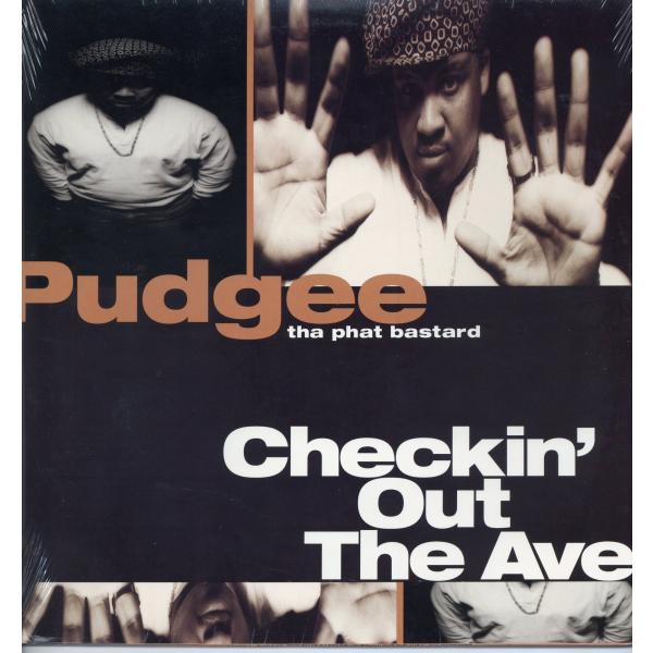【レコード】PUDGEE THA PHAT BASTARD - CHECKIN' OUT THE A...