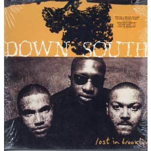 【レコード】DOWN SOUTH - LOST IN BROOKLYN 2xLP US 1994年リリース