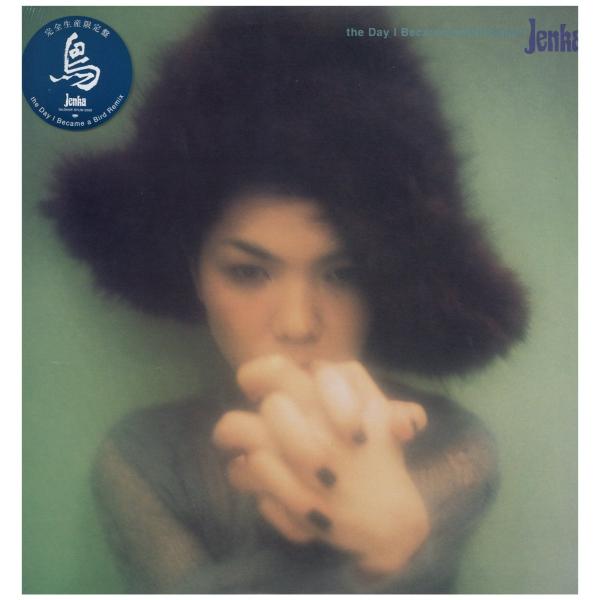 【レコード】JENKA - THE DAY I BECAME A BIRD (REMIX) 12" ...