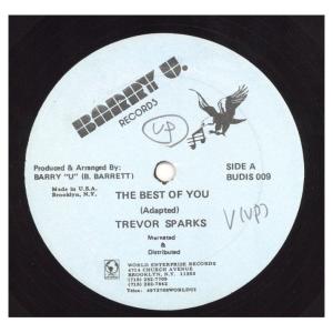 【レコード】TREVOR SPARKS - TH...の商品画像