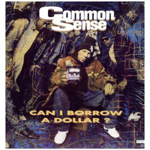 【レコード】COMMON SENSE - CAN I BORROW A DOLLAR ? LP US 1992年リリース｜freaksrecords-2