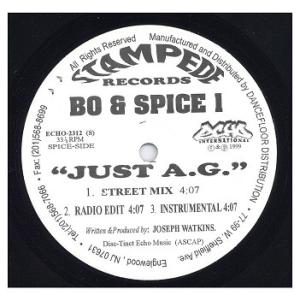 レコード】ROEZ BOYZ - BOOTY UP / 63/64 12