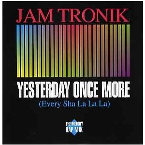 レコード】JAM TRONIK - YESTERDAY ONCE MORE (RI) 12