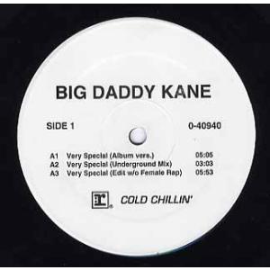 【レコード】BIG DADDY KANE - VERY SPECIAL / STOP SHAMMIN...