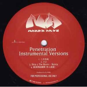 【レコード】NAKED ARTS - PENETRATION INSTRUMENTAL VERSIONS LP JAPAN 1997年リリース