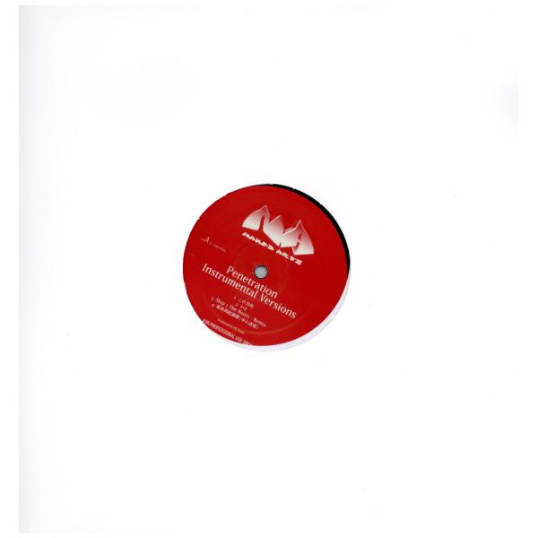 【レコード】NAKED ARTS - PENETRATION INSTRUMENTAL VERSIO...