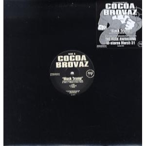 レコード】THE LORD SHAFIYQ - MY MIC IS ON FIRE / KOOL KAT (RI) 12