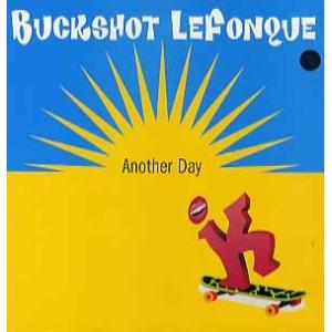 【レコード】BUCKSHOT LEFONQUE - Another Day / Music Evol...