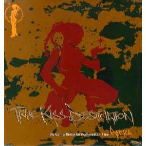 【レコード】TRUE KISS DESTINATION - AFRICA 12" JAPAN 199...
