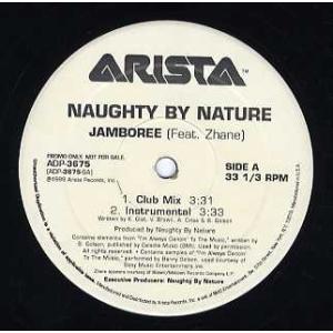 【レコード】NAUGHTY BY NATURE ft Zhane - JAMBOREE 12" US 1999年リリース